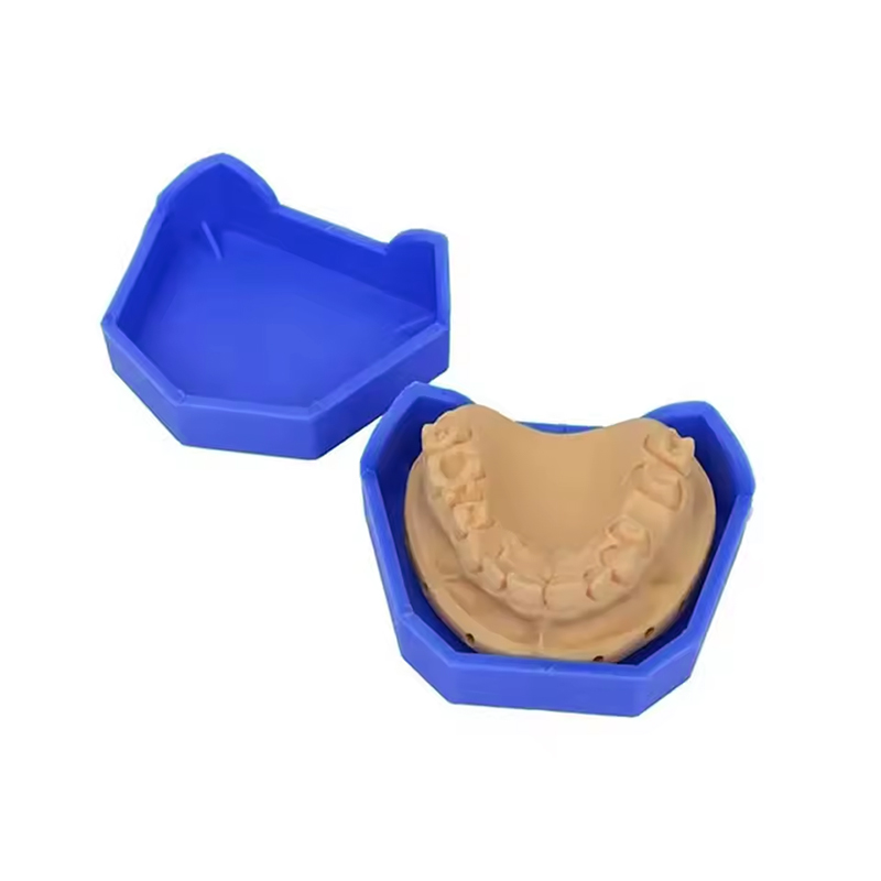 2/6Pcs Dental Model Base Silic - Teeth Whitening Trays บทวิจารณ์และราคา