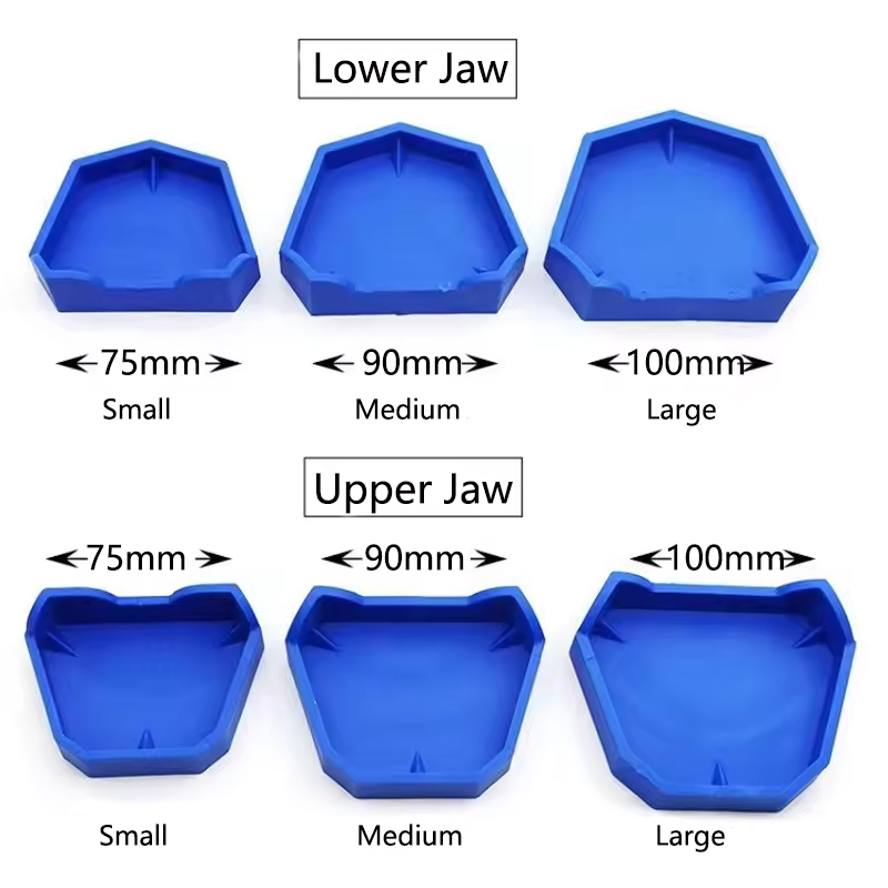 2/6Pcs Dental Model Base Silic - Teeth Whitening Trays บทวิจารณ์และราคา