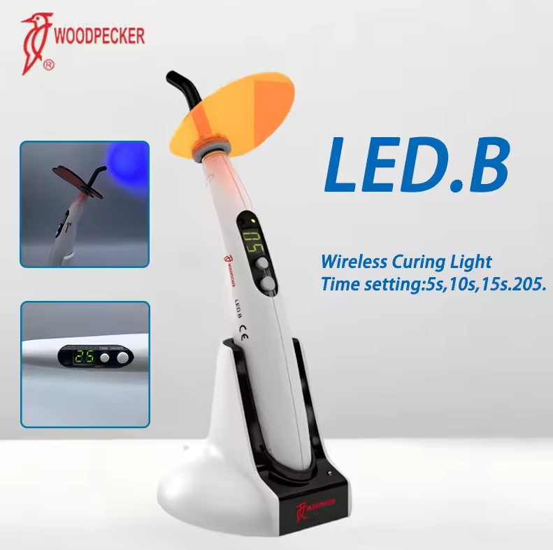 Dental Curing Light Woodpecker - Teeth Whitening Kit บทวิจารณ์และราคา