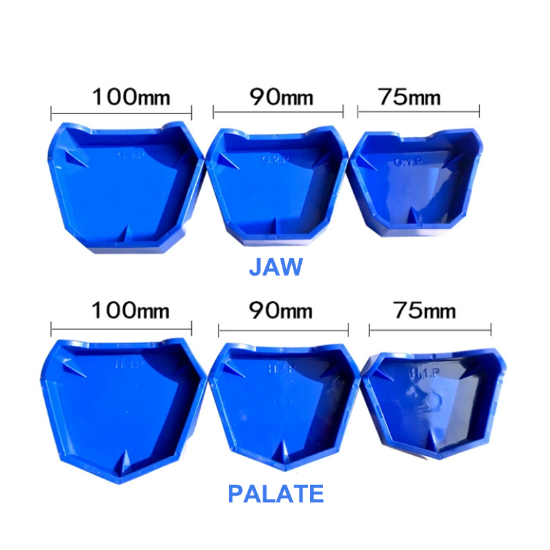 2/6Pcs Silicone  Dental Model  - Teeth Whitening Trays บทวิจารณ์และราคา