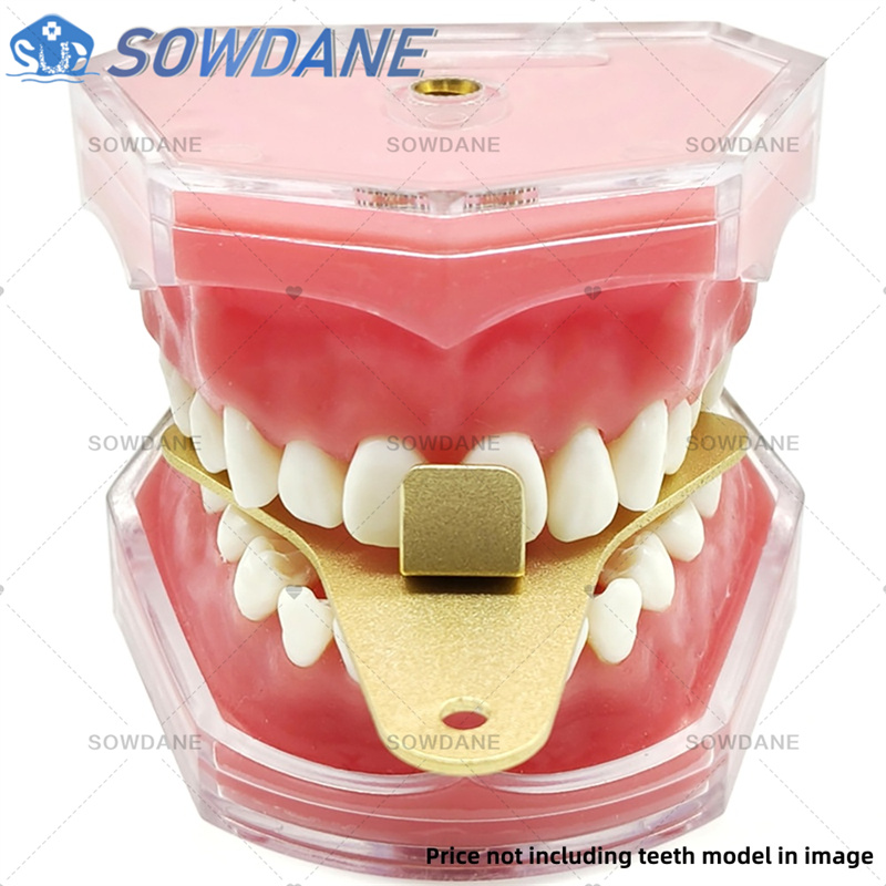 Dental Lab Impression Trays to - Teeth Whitening Trays บทวิจารณ์และราคา