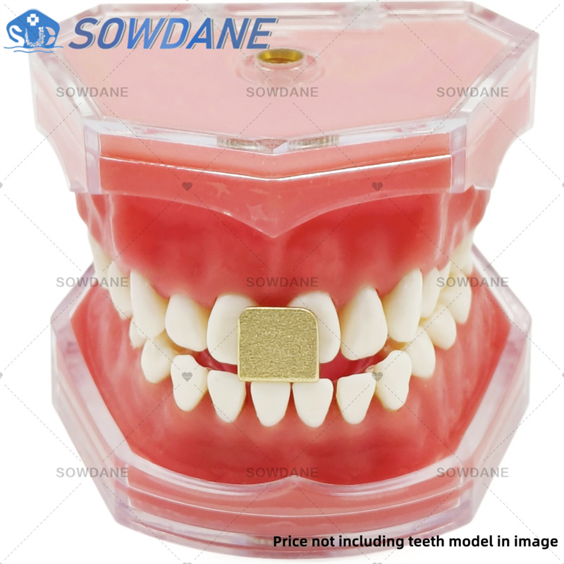 Dental Lab Impression Trays to - Teeth Whitening Trays บทวิจารณ์และราคา