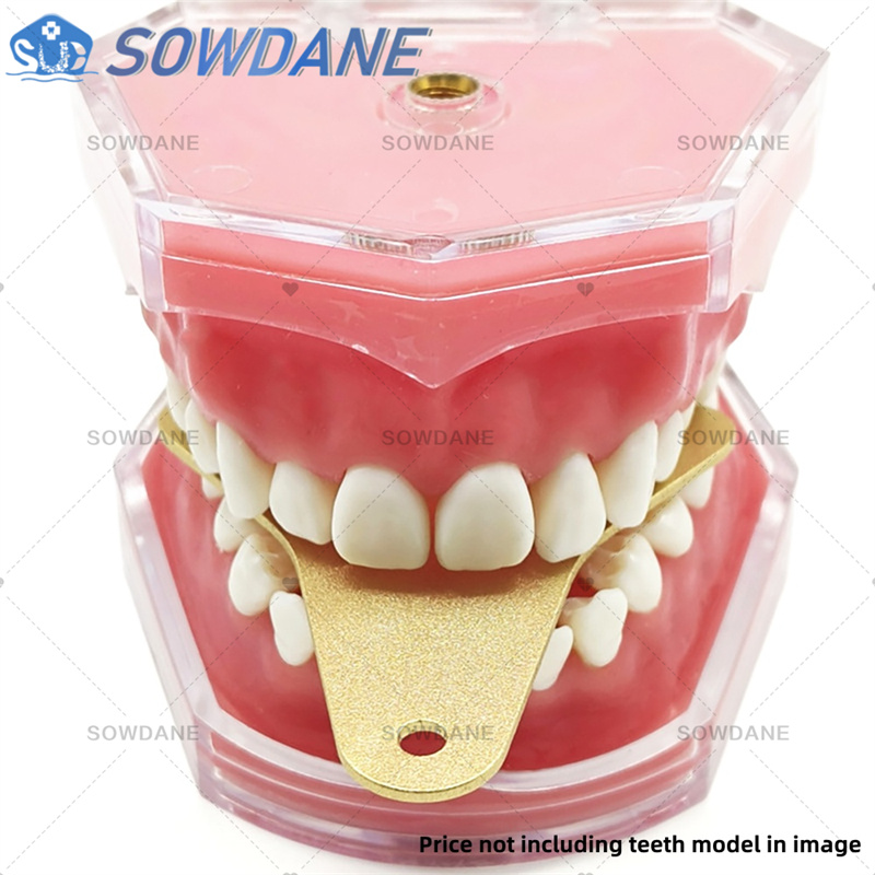 Dental Lab Impression Trays to - Teeth Whitening Trays บทวิจารณ์และราคา