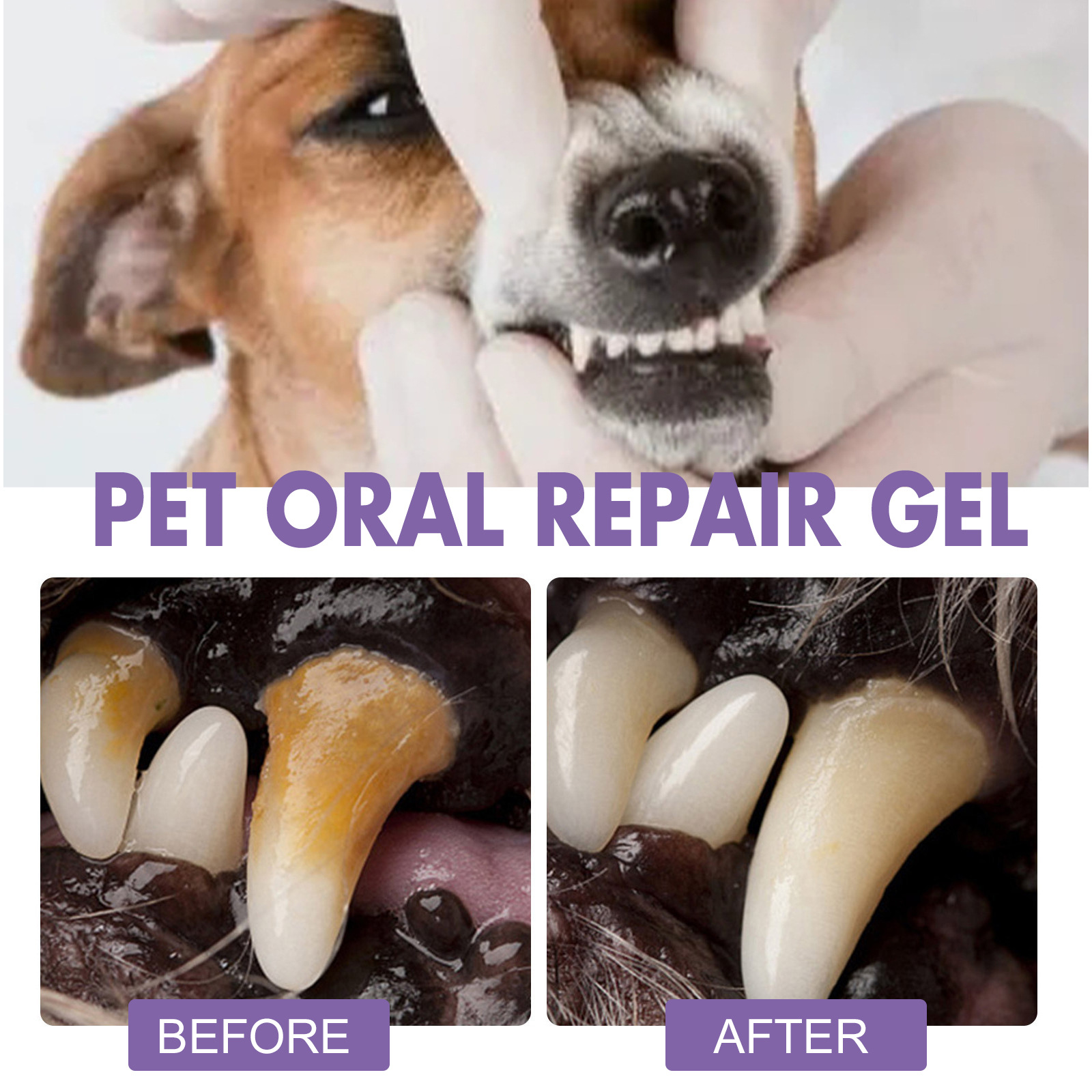 Pet Oral Repair Gel Puppy Tart - Teeth Whitening Gels บทวิจารณ์และราคา