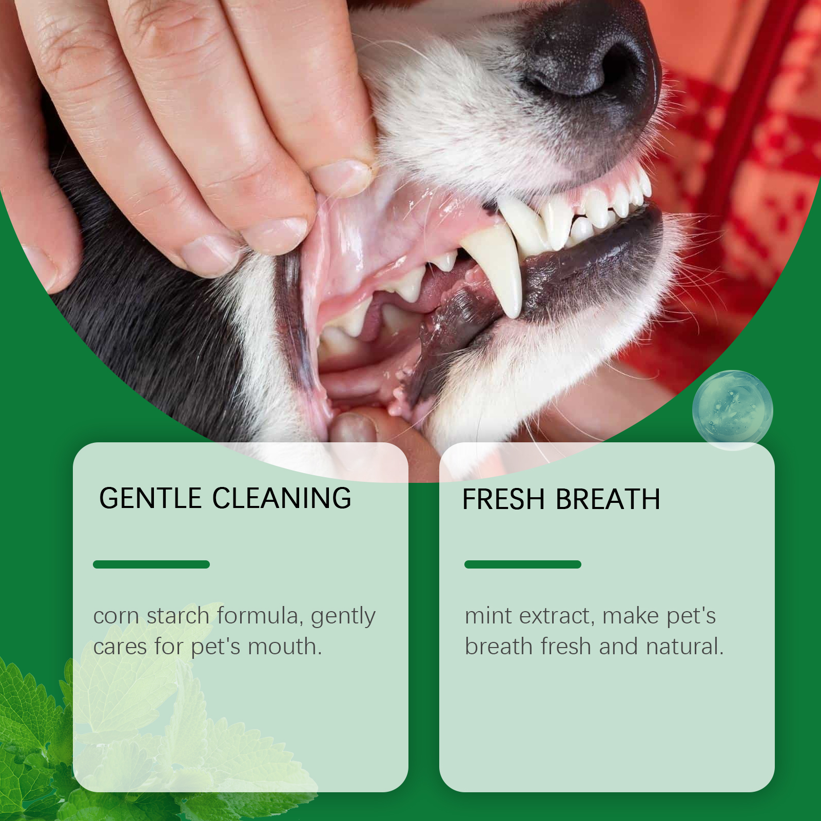 Pet Teeth Cleaning Powder Redu - Teeth Whitening Instant บทวิจารณ์และราคา