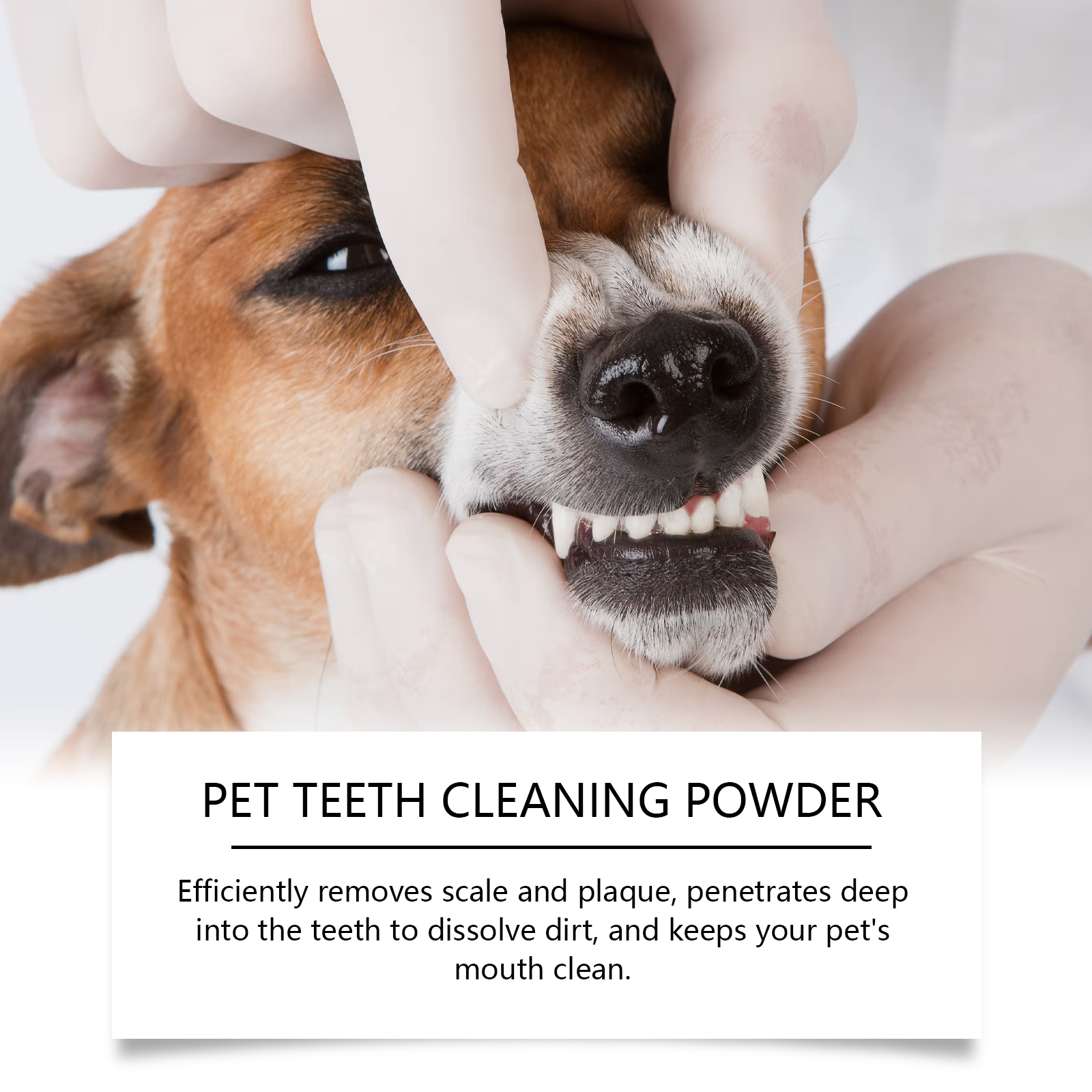 Pet Teeth Cleaning Powder Redu - Teeth Whitening Instant บทวิจารณ์และราคา
